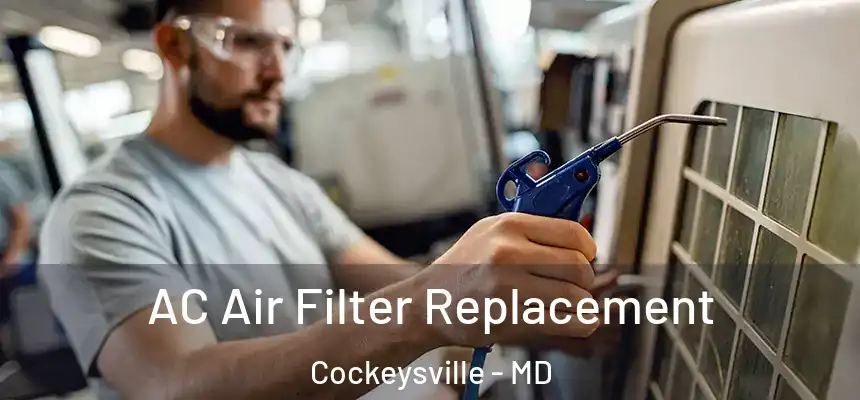 AC Air Filter Replacement Cockeysville - MD