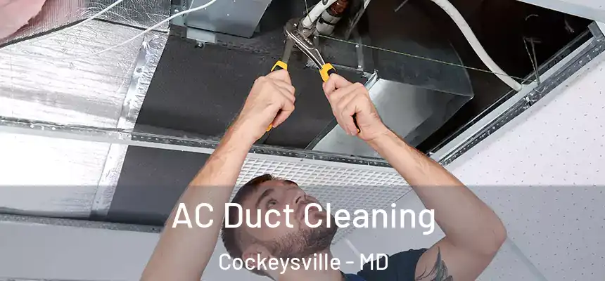  AC Duct Cleaning Cockeysville - MD