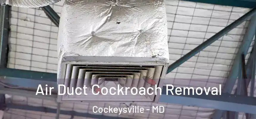 Air Duct Cockroach Removal Cockeysville - MD