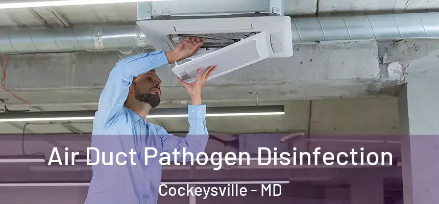 Air Duct Pathogen Disinfection Cockeysville - MD