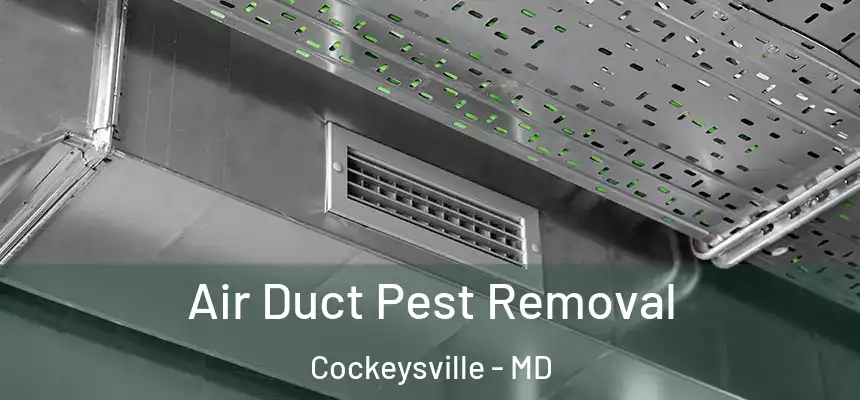 Air Duct Pest Removal Cockeysville - MD