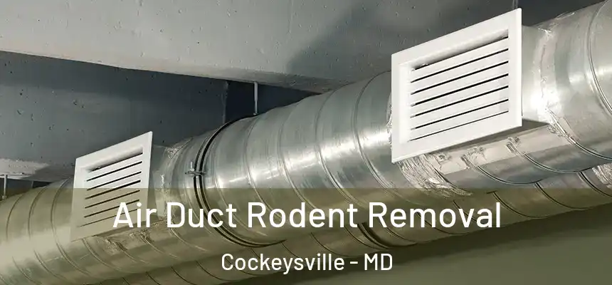 Air Duct Rodent Removal Cockeysville - MD