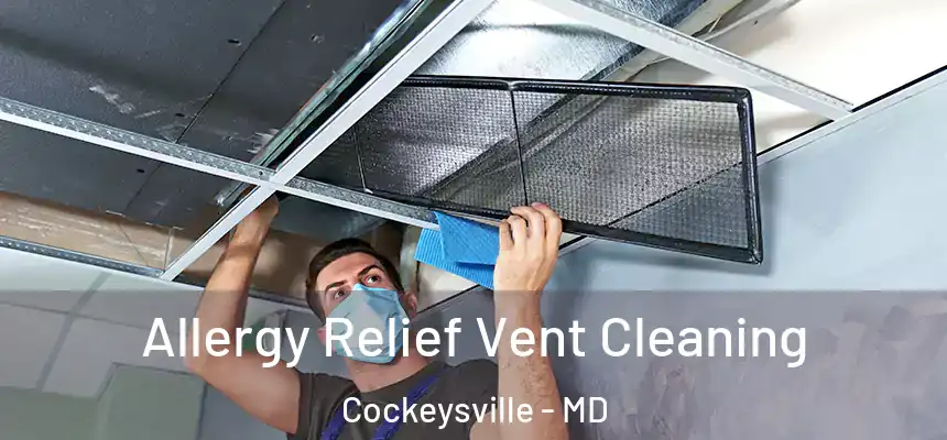 Allergy Relief Vent Cleaning Cockeysville - MD