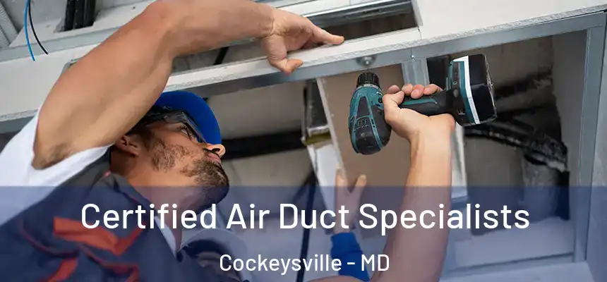 Certified Air Duct Specialists Cockeysville - MD