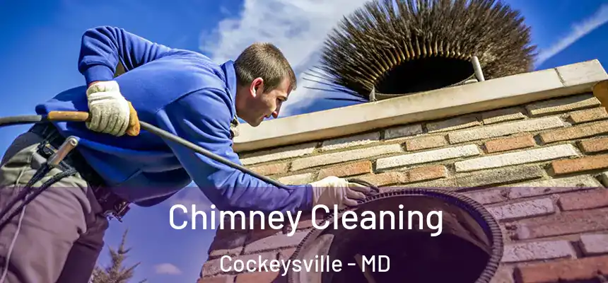 Chimney Cleaning Cockeysville - MD