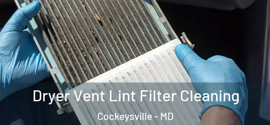 Dryer Vent Lint Filter Cleaning Cockeysville - MD