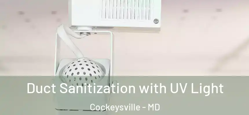  Duct Sanitization with UV Light Cockeysville - MD
