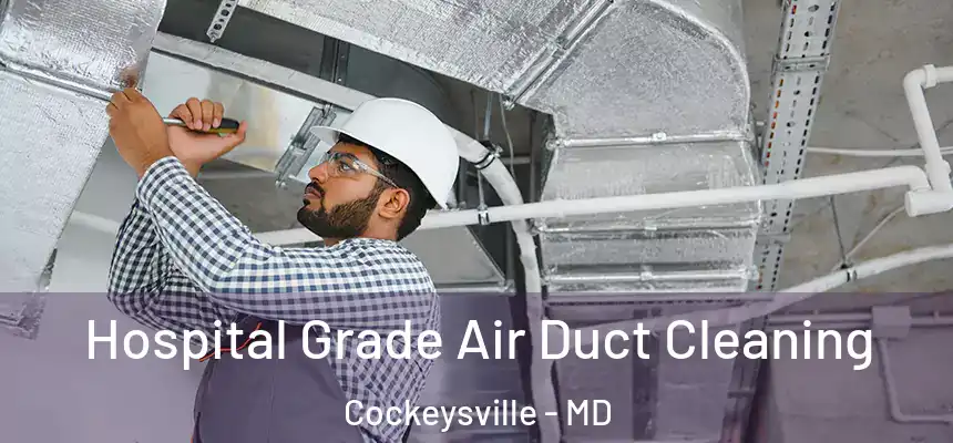 Hospital Grade Air Duct Cleaning Cockeysville - MD