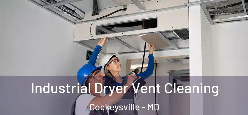  Industrial Dryer Vent Cleaning Cockeysville - MD