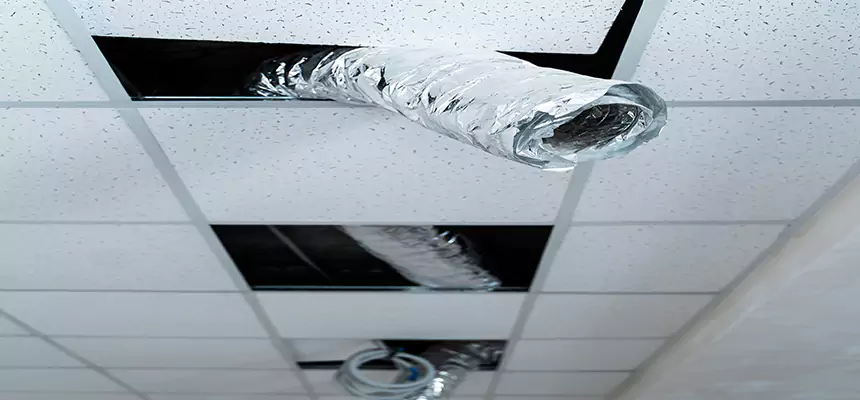 Affordable HVAC Sanitizing After Pest Removal in Cockeysville