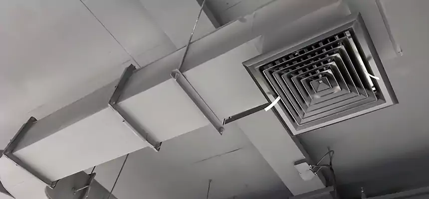 Restorative Allergy Relief Vent Cleaning – Coil, Blower & Housing Detail in Cockeysville