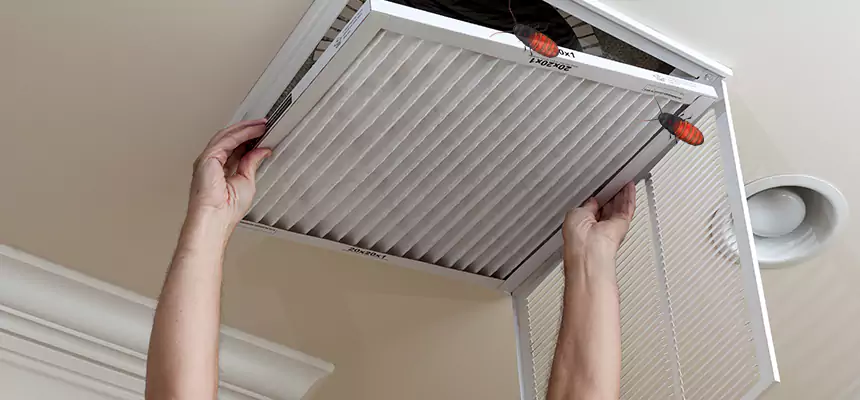 Our Insect Removal from Air Ducts Services in Cockeysville, MD