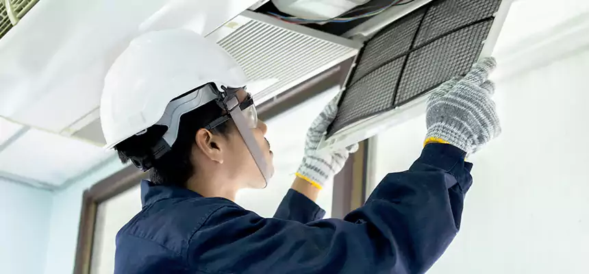 Our Mold & Mildew Removal from Air Ducts Services in Cockeysville, MD