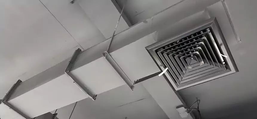 Our Rodent Droppings In Vents Services in Cockeysville, MD