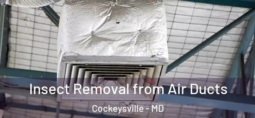 Insect Removal from Air Ducts Cockeysville - MD