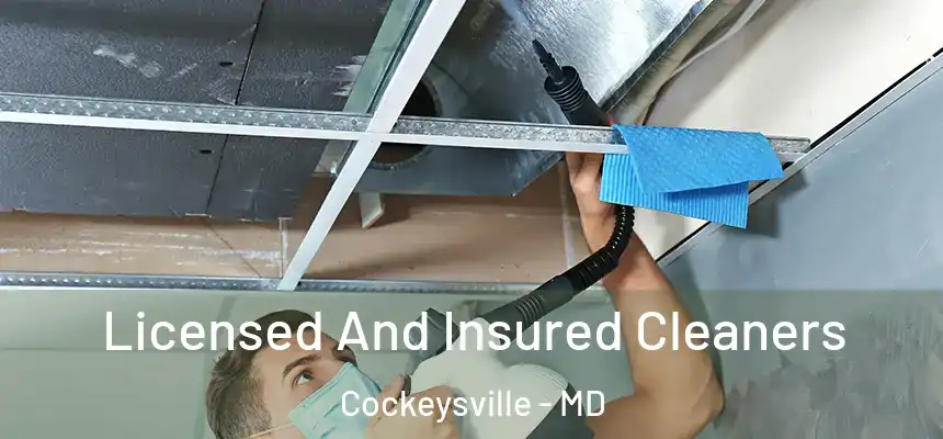  Licensed And Insured Cleaners Cockeysville - MD