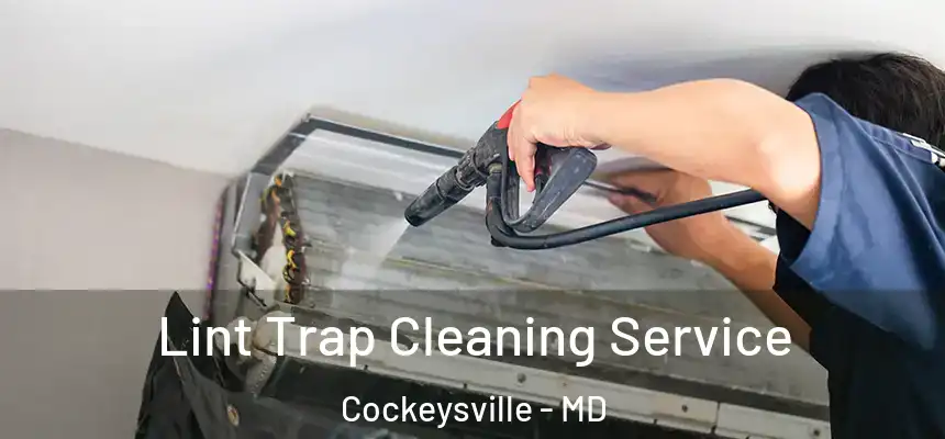  Lint Trap Cleaning Service Cockeysville - MD