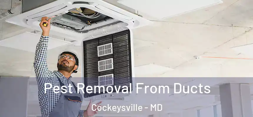Pest Removal From Ducts Cockeysville - MD