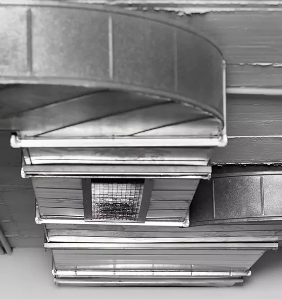 Professional Air Duct Pet Hair Removal in Cockeysville, MD