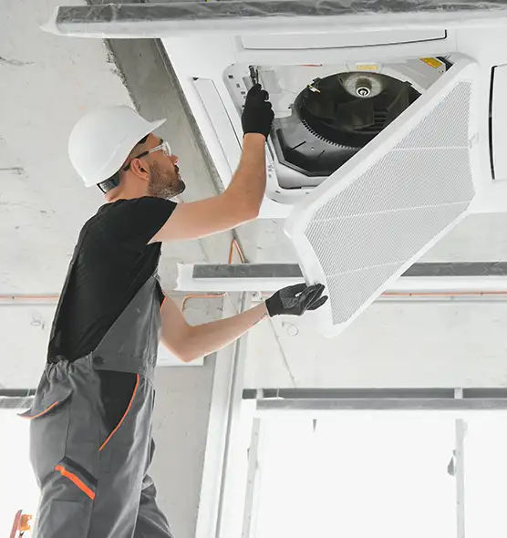 About Air Duct Rodent Removal in Cockeysville, MD