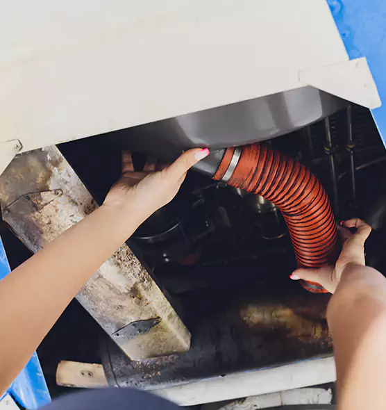 About Air Duct Virus Disinfection in Cockeysville, MD