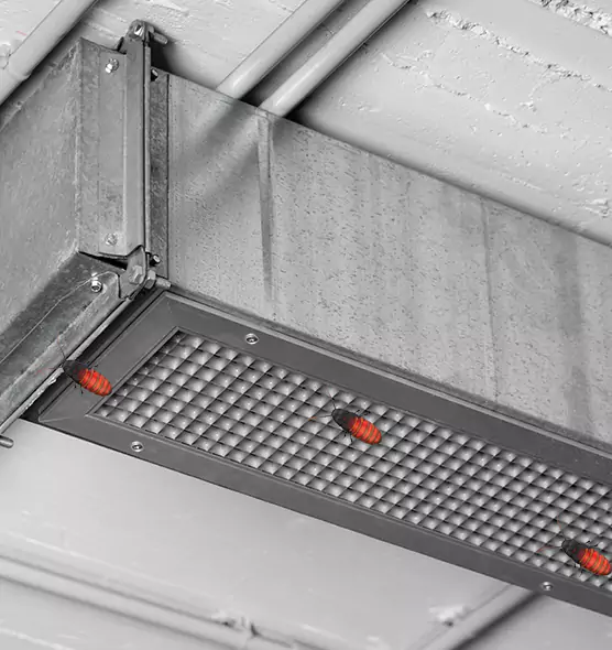 Affordable Insect Removal from Air Ducts in Cockeysville, MD