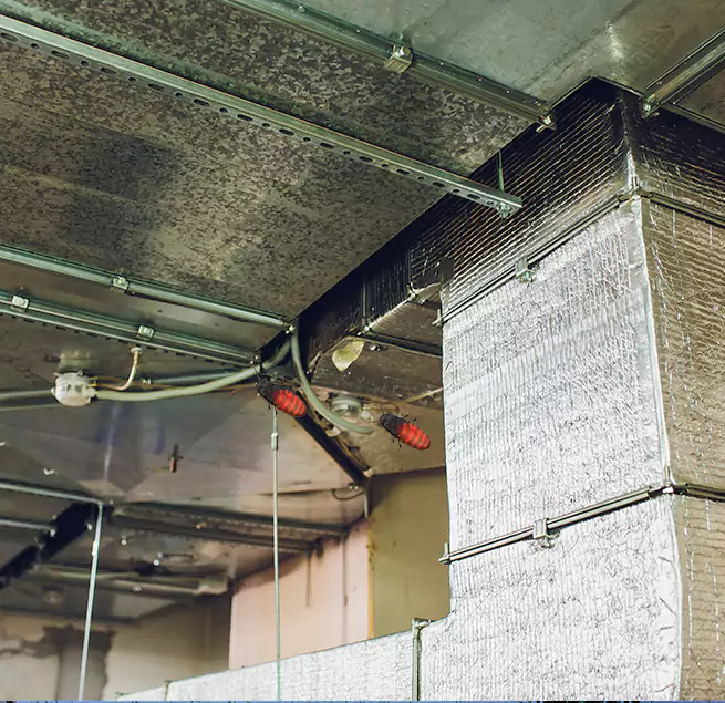 Why Homeowners & Businesses Trust Us in Cockeysville, MD?