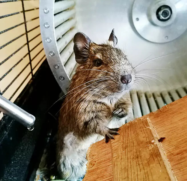 Why Homeowners & Businesses Trust Us Cockeysville, MD