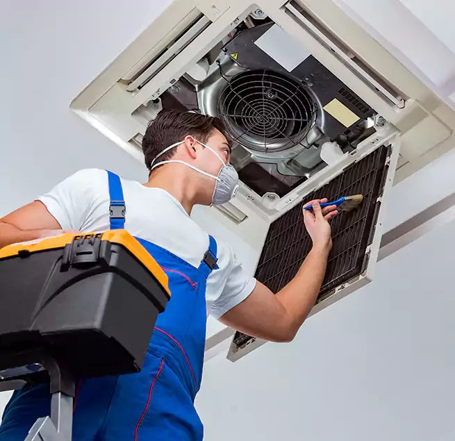 Why Homeowners & Businesses Trust Us in Cockeysville, MD