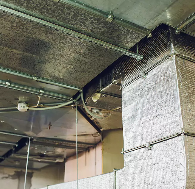 Why Homeowners & Businesses Trust Us in Cockeysville, MD?