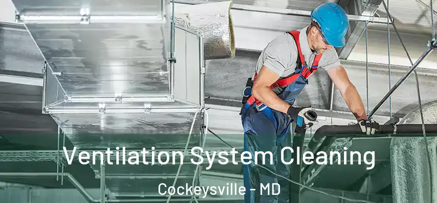  Ventilation System Cleaning Cockeysville - MD